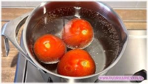 aggiungiamo i pomodori e facciamoli scottare aggiungiamo i pomodori e facciamoli scottare