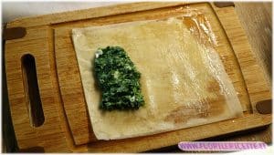 farcitura spanakopita