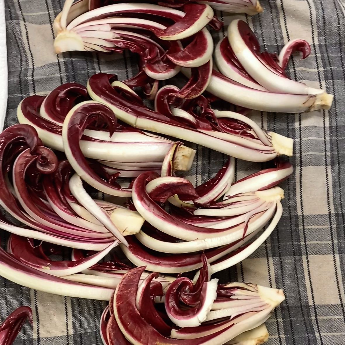 tagliare radicchio in quarti