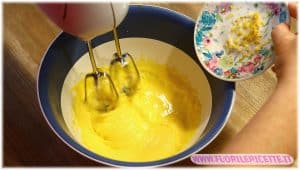 versiamo poco alla volta l'olio e l'acqua, aggiungiamo un pizzico di sale e la buccia di limone grattugiata