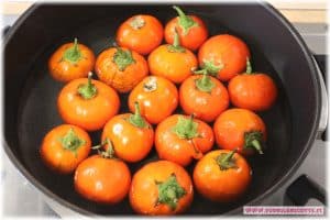 Melanzane rosse di Rotonda