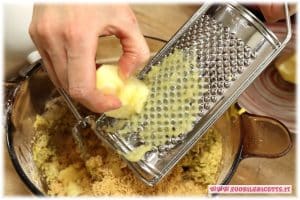 buccia di limone tritata
