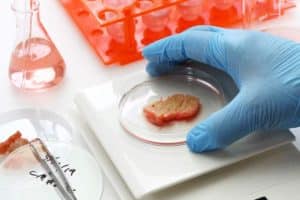 esempio di carne sintetica