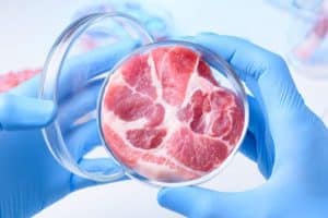 esempio di carne artificiale