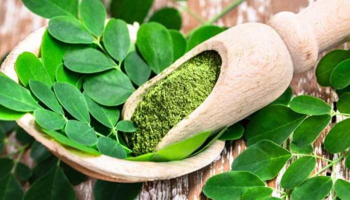 Foto moringa