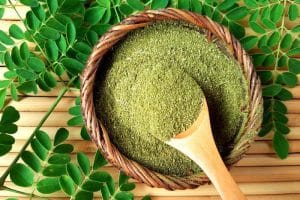 Foto pianta della moringa