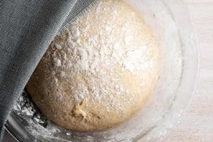 foto di quanto deve lievitare la pizza