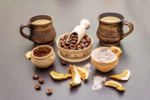 Mushroom coffee ingredienti